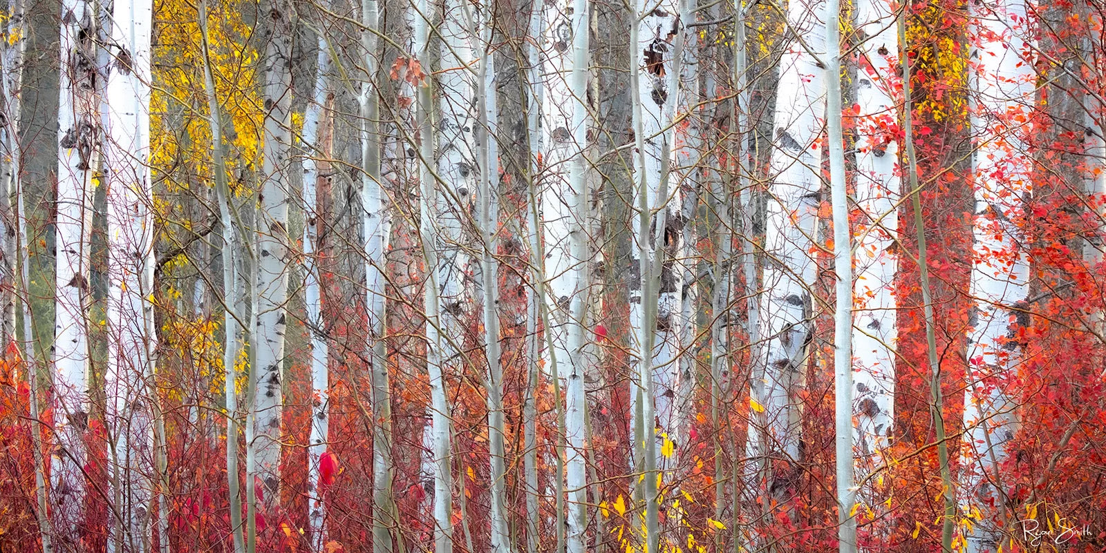 Autumnly Pano - Leavenworth, WA