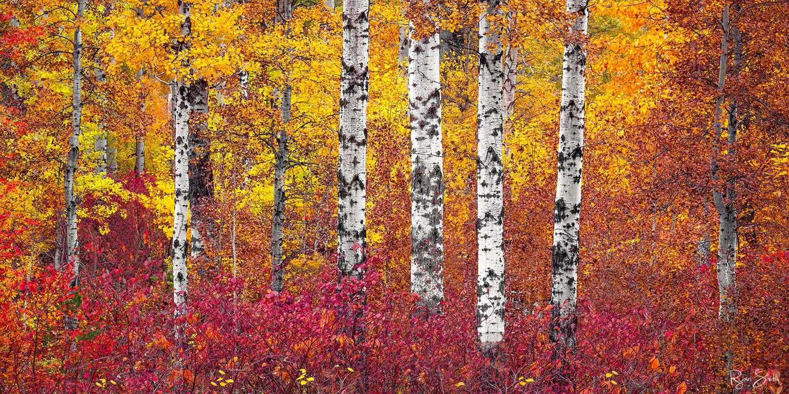 Brilliance Pano - Leavenworth, WA