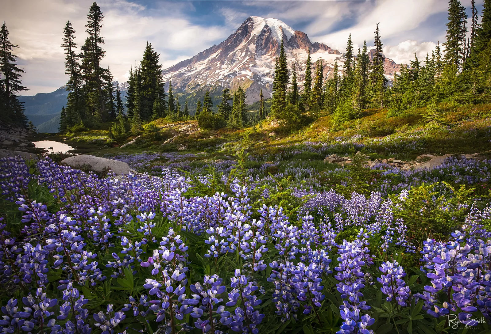 Lovespell – Mount Rainier National Park, WA